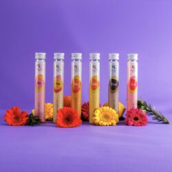 Zes Cocktail Lab tubes uit de Proeverij Box rechtop gepresenteerd met bloemen en fruit – kleurrijke sfeerfoto