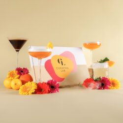 Cocktail Lab Box mit servierten Cocktails in verschiedenen Gläsern, Blumen und Zitrusfrüchten auf gelbem Hintergrund - Selbstmontagebox groß